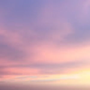 Meet your Posher, Meg